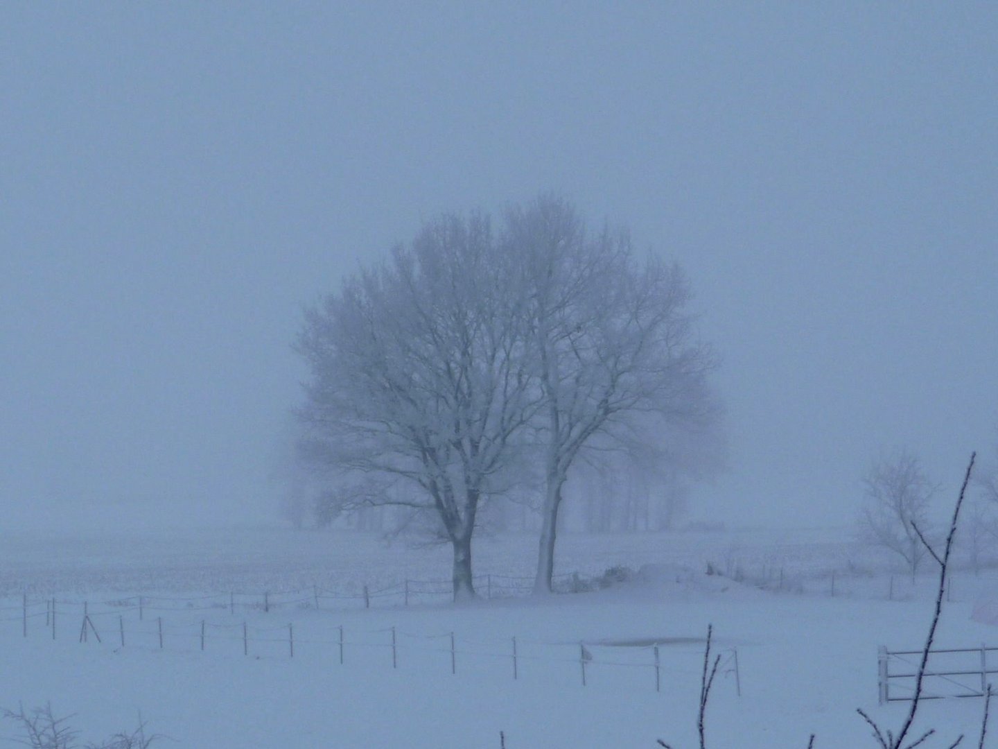 Ein kalter Wintertag