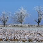 Ein kalter Wintertag