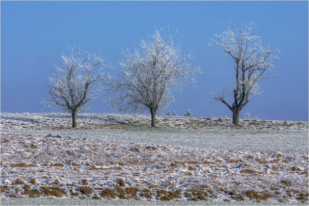 Ein kalter Wintertag