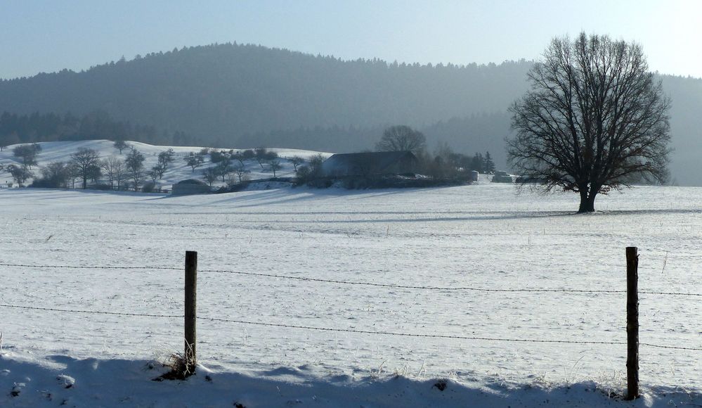 Ein kalter Wintertag