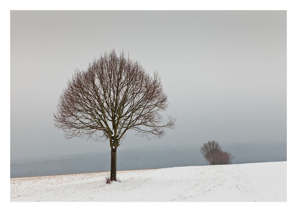 Ein kalter Wintertag