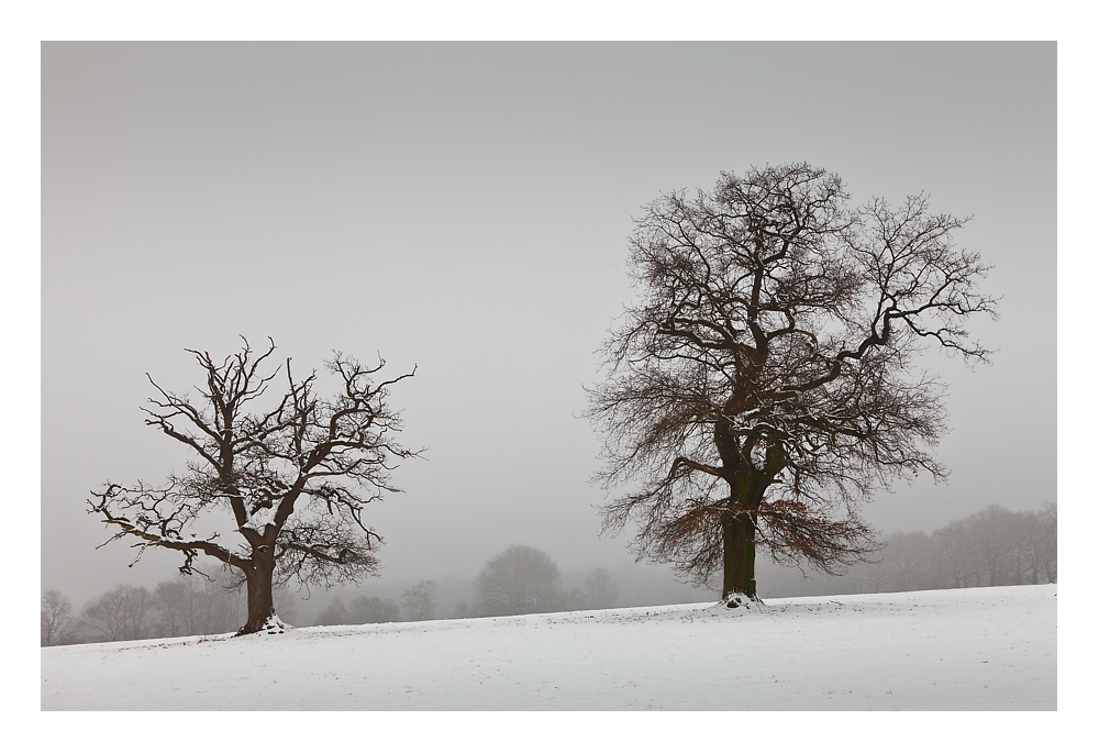 Ein kalter Wintertag