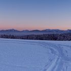 Ein kalter Wintertag am Fentberg