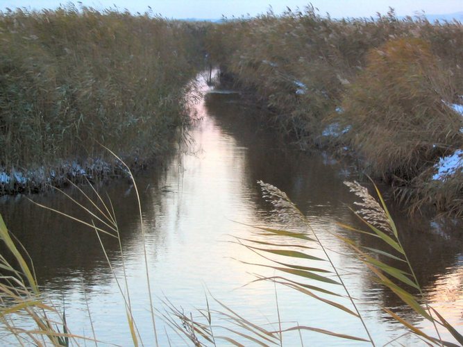 ein kanal am neusiedlersee