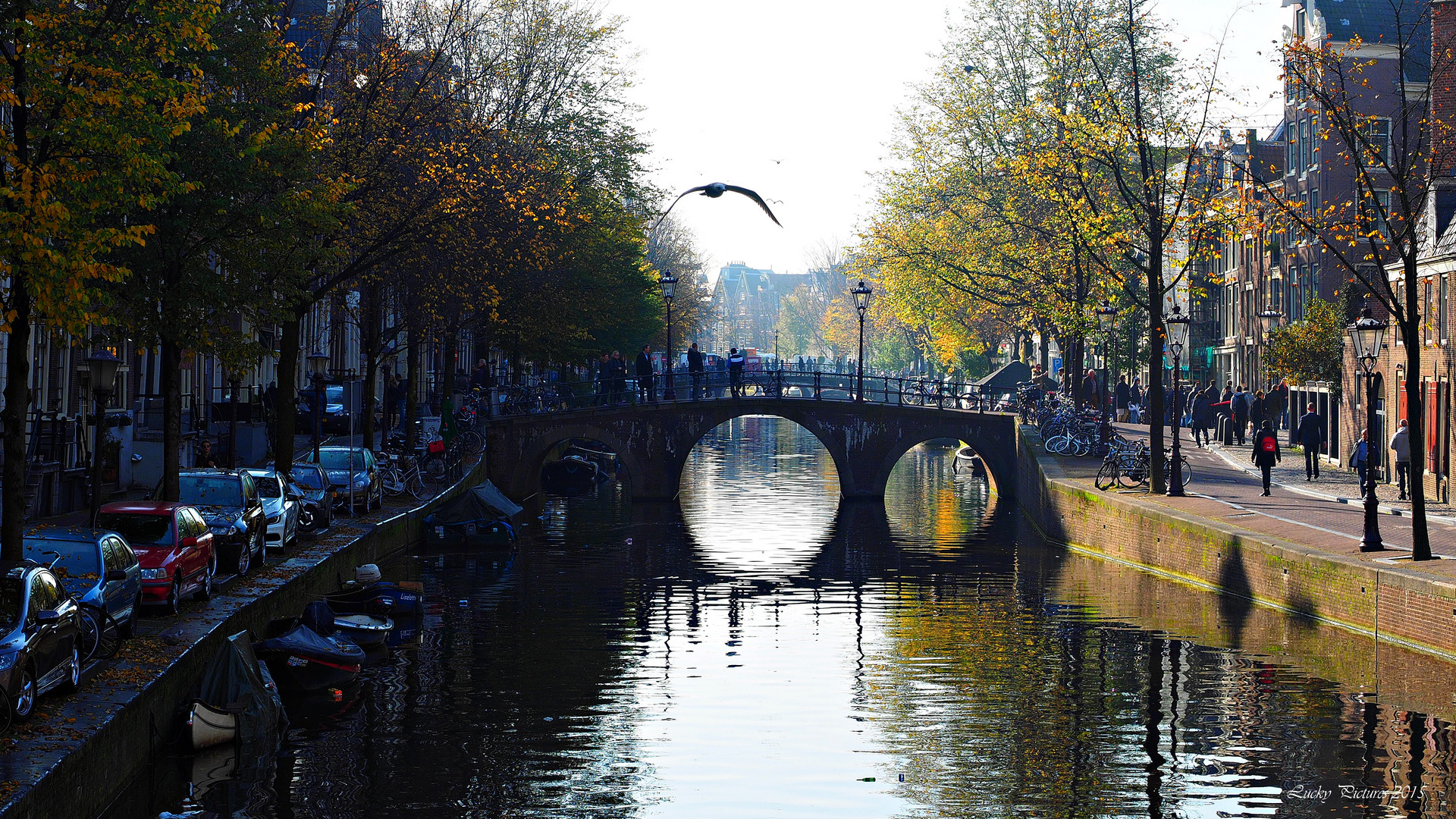 ein Kanal, eine Brücke und eine Möwe