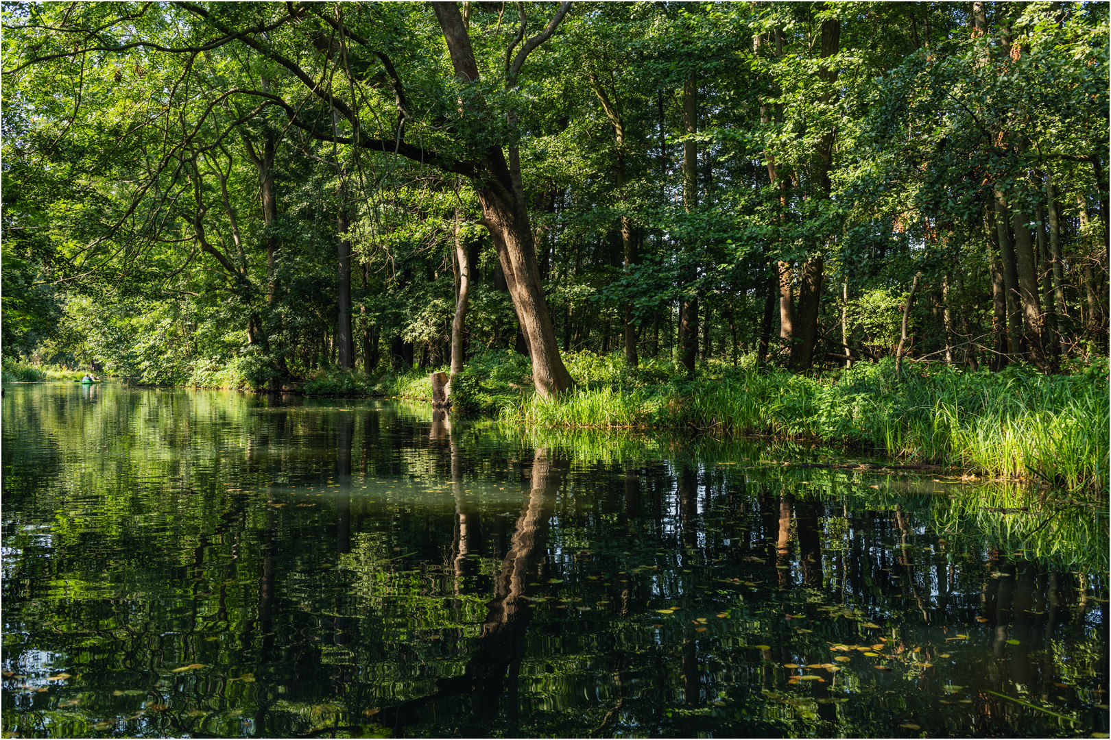 Ein Kanal im Spreewald