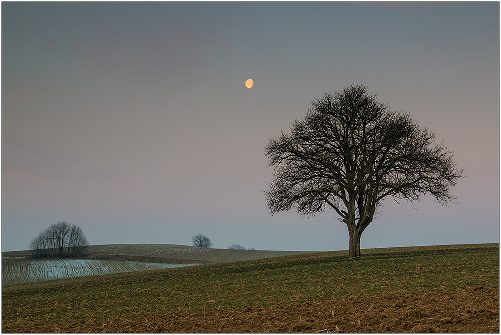 ein karger, kalter Wintermorgen