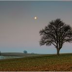 ein karger, kalter Wintermorgen