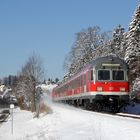 Ein Karlsruher im Hochschwarzwald