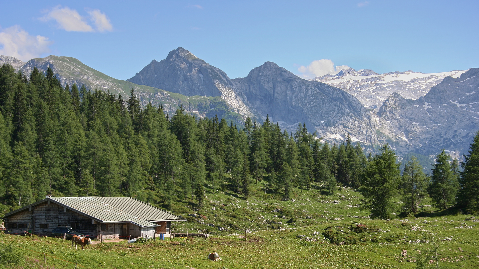 Ein Kaser auf der Gotzenalm (IMG_5844_ji)