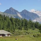 Ein Kaser auf der Gotzenalm (IMG_5844_ji)