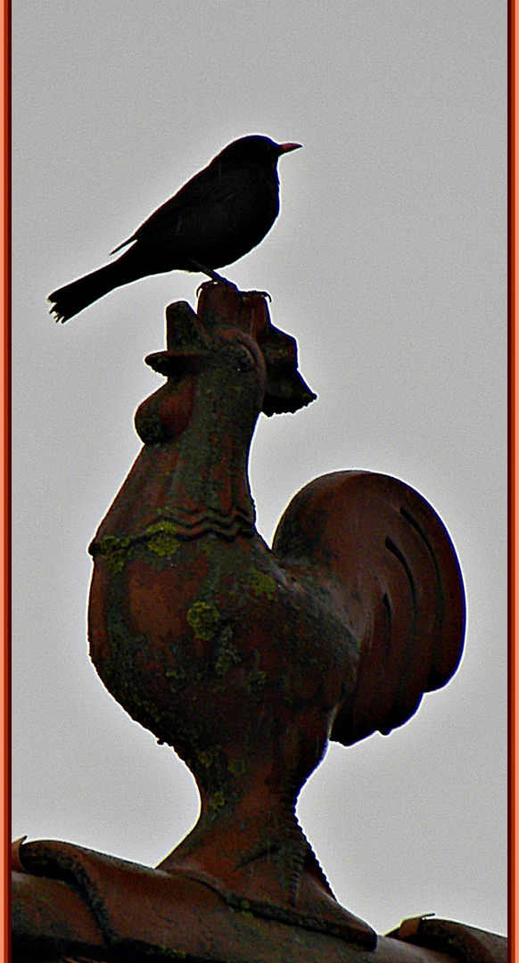 ...ein katastrophaler (verregneter) Samstag....