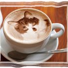 Ein Kato-ccino gefällig ?