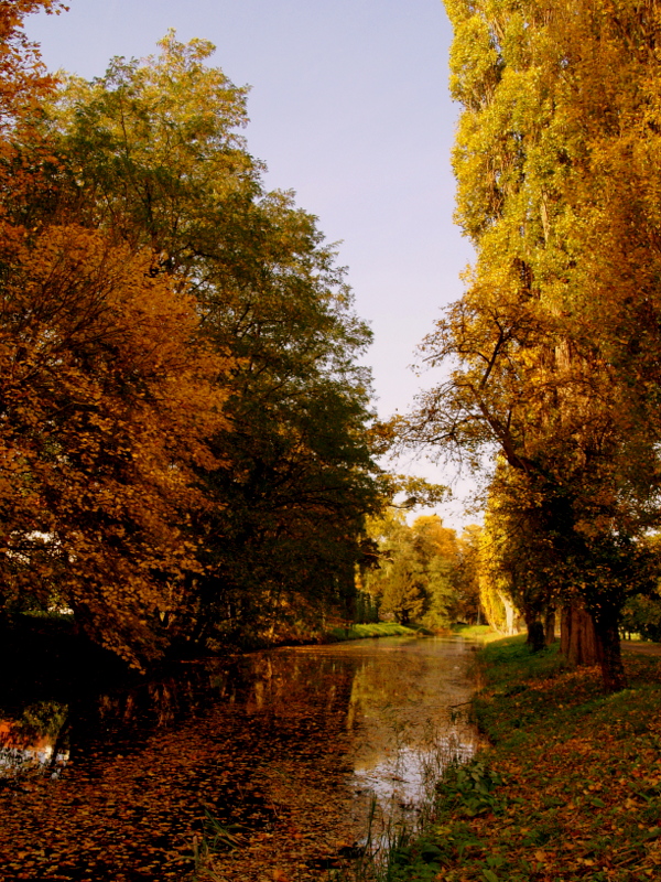 Ein Kessel Buntes