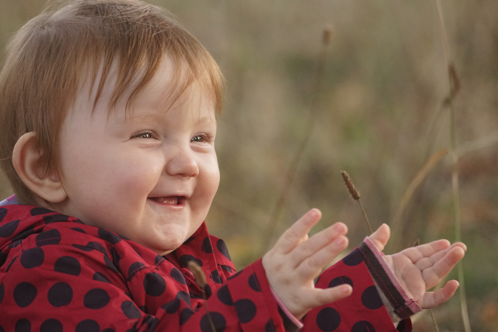 Ein Kinderlachen  im Herbst 