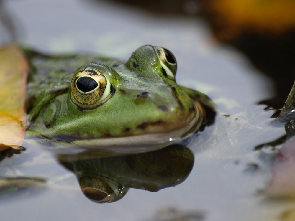 Ein klarer Blick