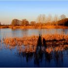 Ein klarer und kalter Wintertag an den Lausitzer Teichen