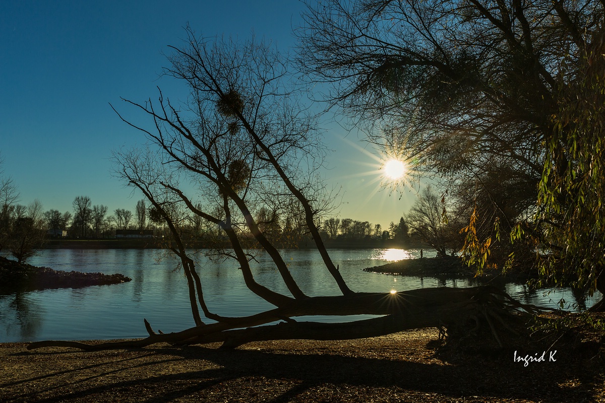 ein klarer Wintertag am Rhein 