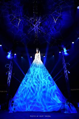 Ein Klasse Erscheinungsbild im Manegenrund.