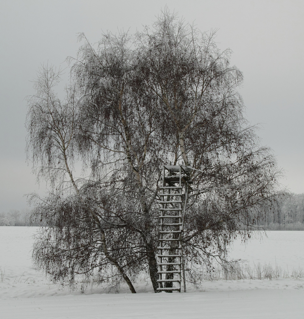 ein klassisches Wintermotiv