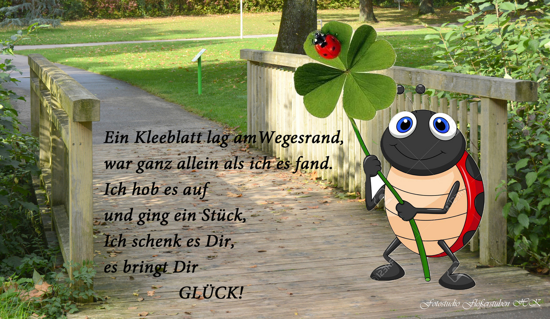 Ein Kleeblatt Foto & Bild sprüche, fotomontage, digiart Bilder auf