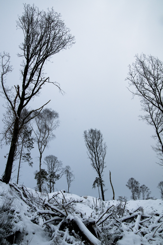 ein Kleid aus Schnee