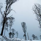 ein Kleid aus Schnee