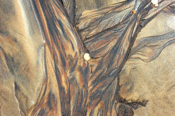 Ein Kleid fuer Frau Hegauner