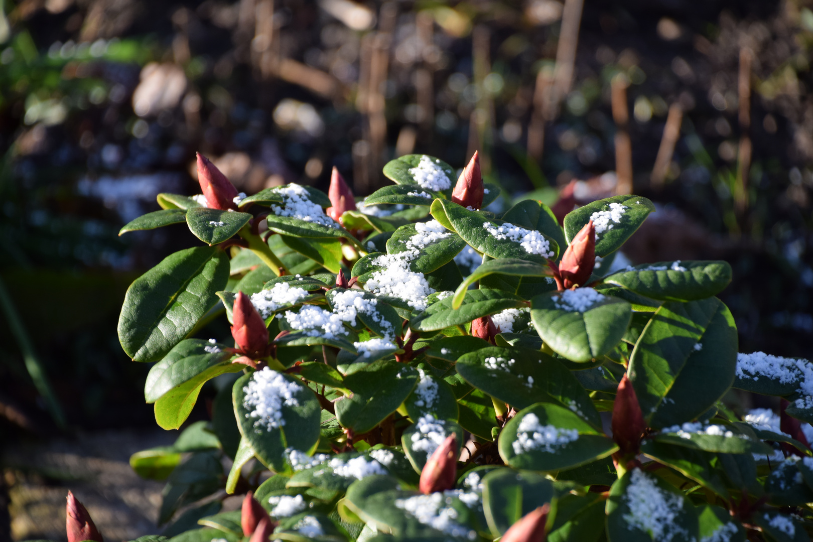 ein klein wenig Schnee 2