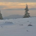 ein klein wenig Schwarzwald...