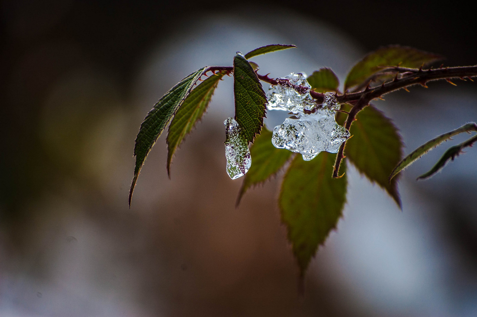 ein klein wenig Winter