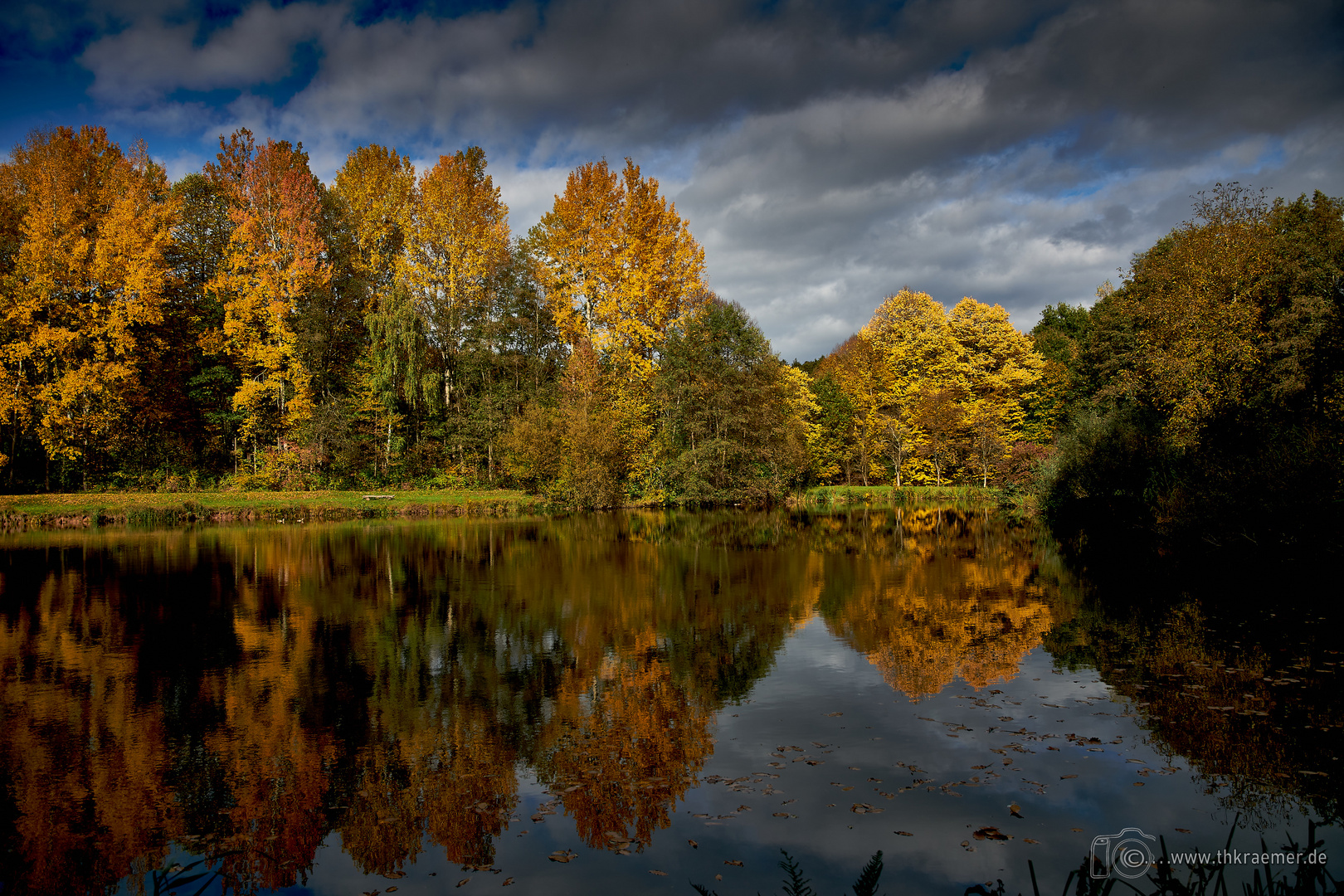 ein kleiner Anglersee - D85_1234