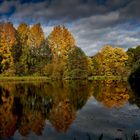 ein kleiner Anglersee - D85_1234