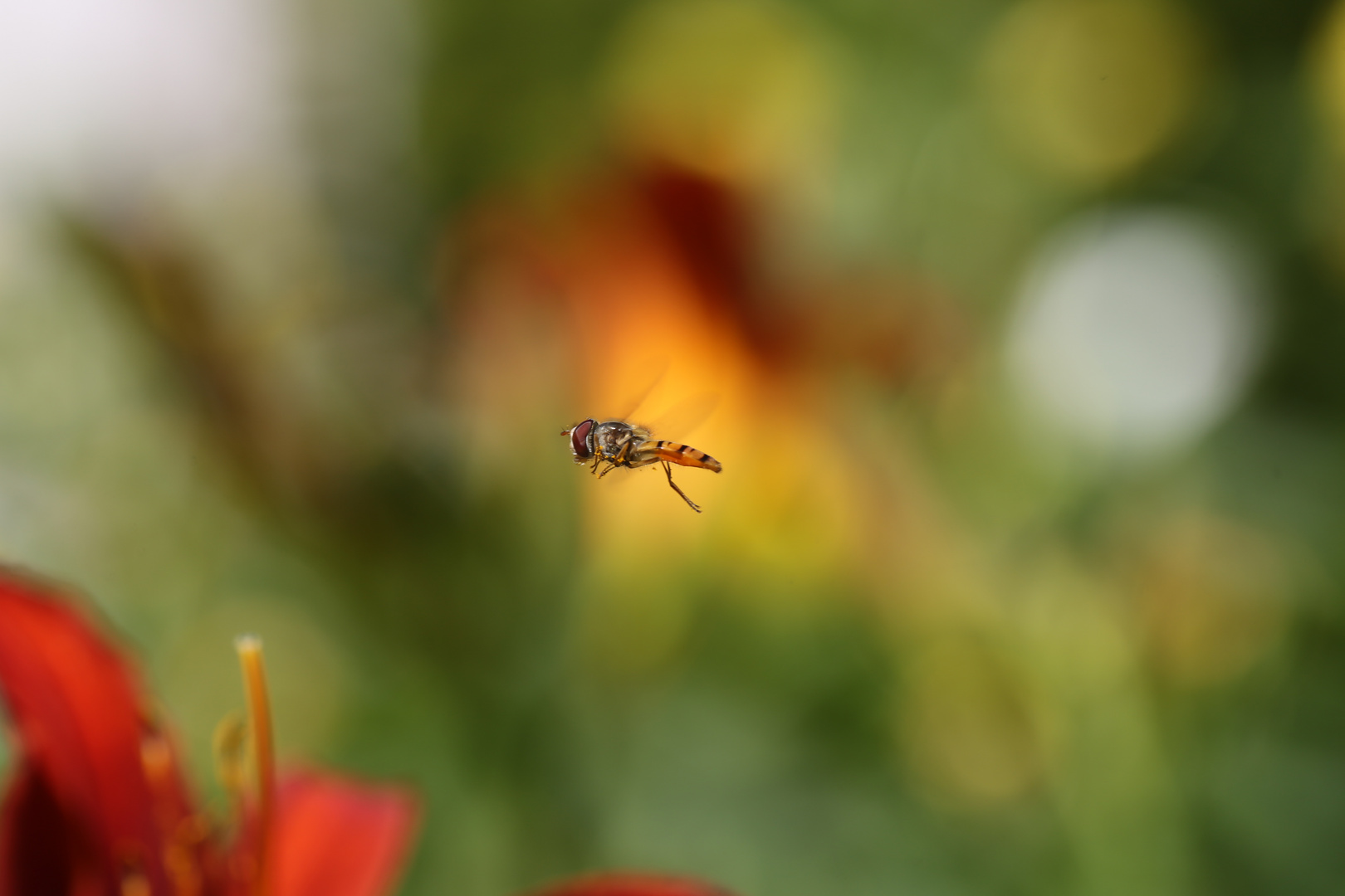 Ein kleiner Ausflug in die Stillfotografie