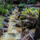 Ein kleiner Bach im Parque Terra Nostra