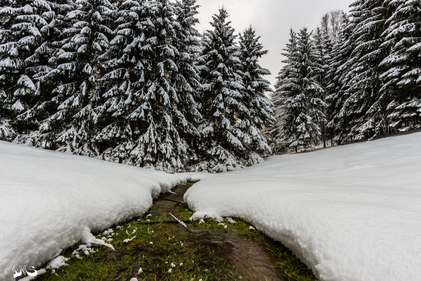 Ein kleiner Bach im Sauerland