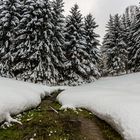 Ein kleiner Bach im Sauerland