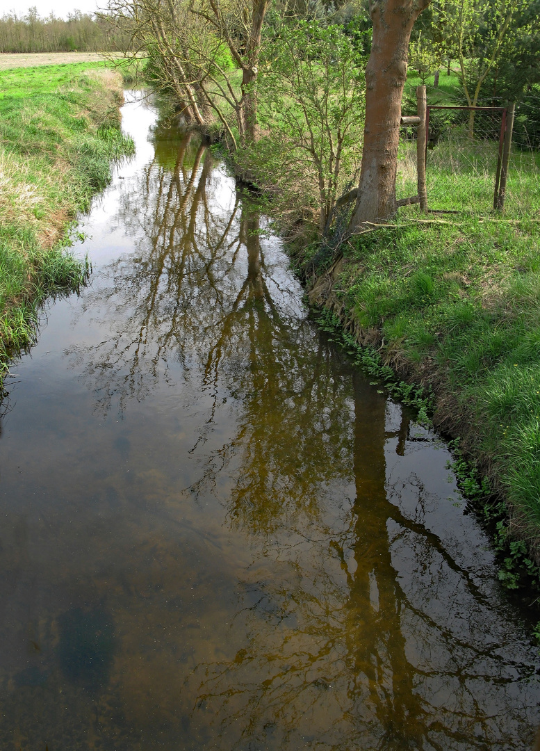 Ein Kleiner Bachlauf