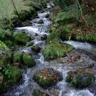 Ein kleiner Bachlauf in Simonswald