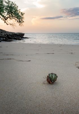 Ein kleiner Besucher