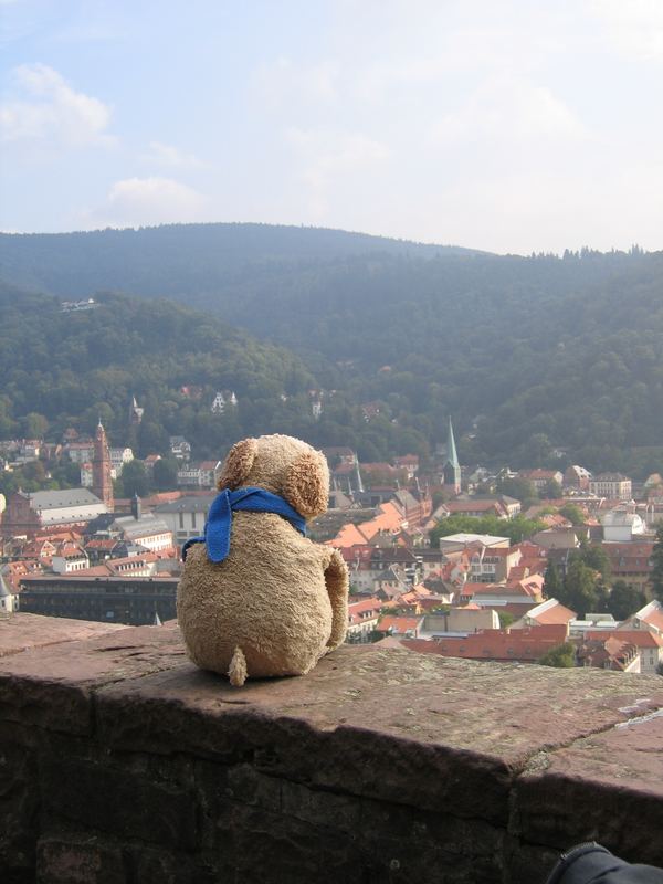 ein kleiner Blick auf HeidelBär