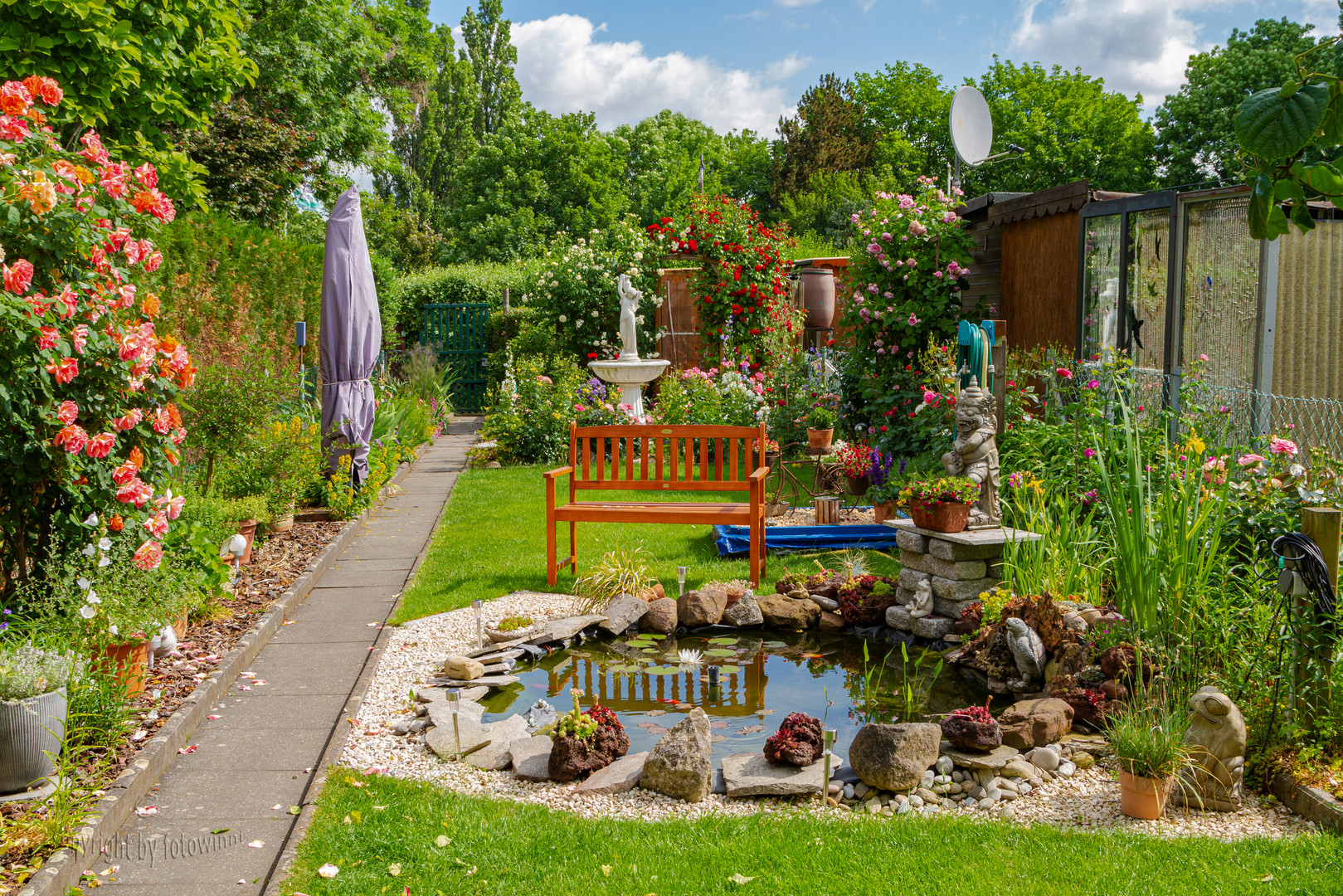 ein kleiner Blick durch meinen Garten 