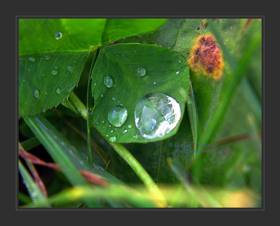 Ein kleiner Diamant