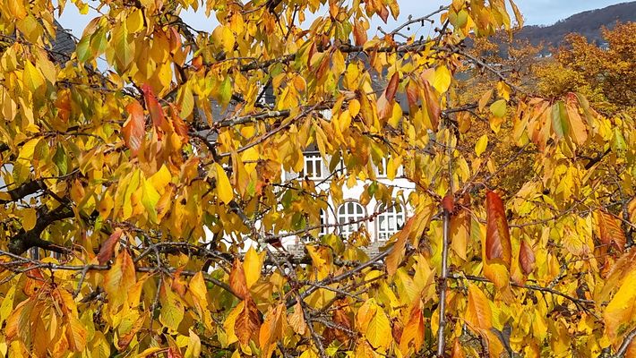 ein kleiner Durchblick  von der Brücke...