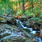 ein kleiner Fluss im  Harz - die Ilse...