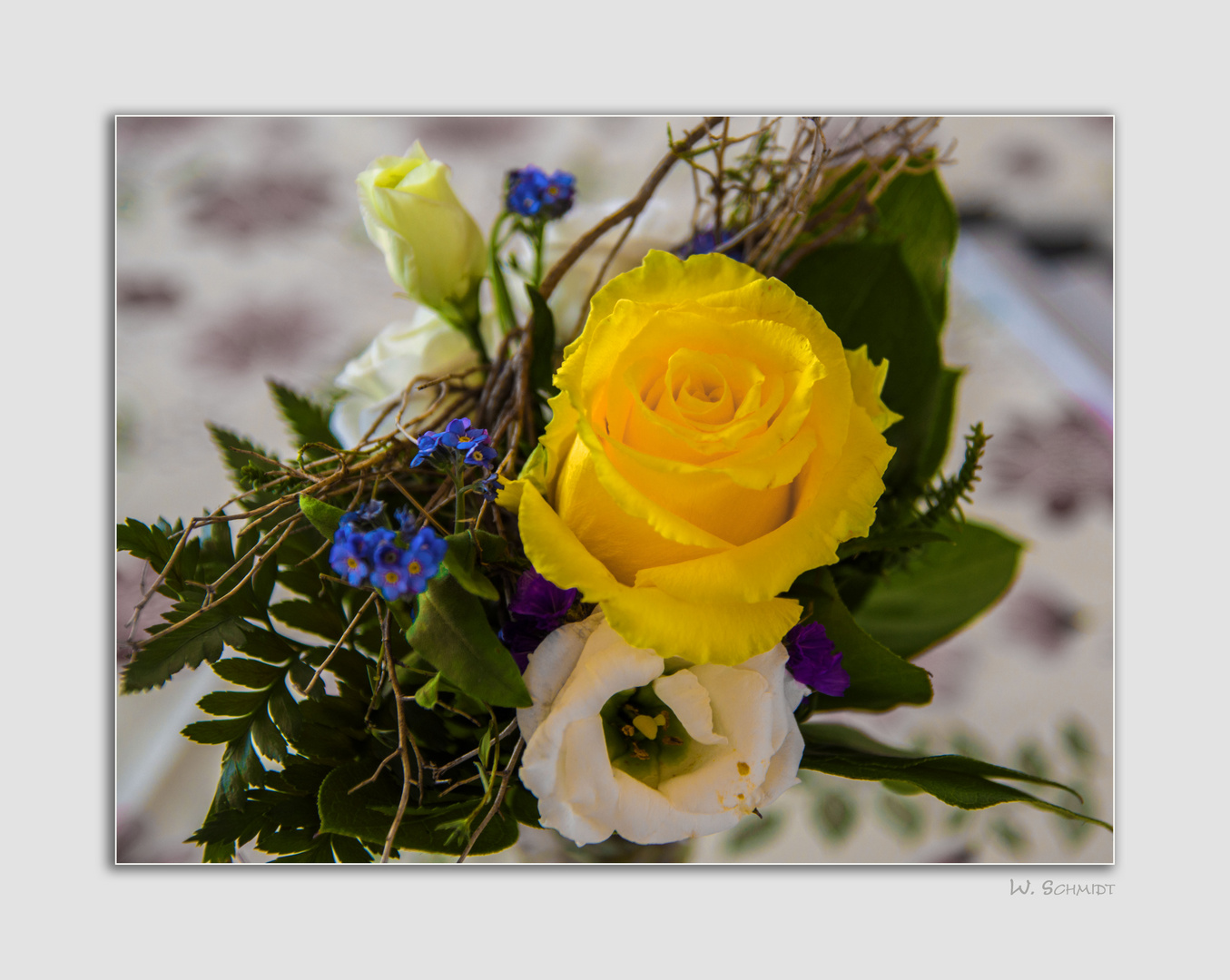 Ein Kleiner Fruhlingsstrauss Macht Laune Foto Bild Natur Rosen Bluten Bilder Auf Fotocommunity