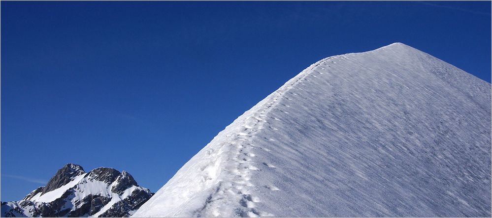 Ein kleiner Gernegross im Appenzellerland