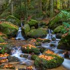 Ein kleiner Herbsttraum