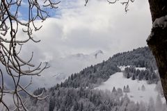 Ein kleiner Hoffnungsschimmer....