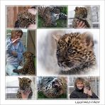 Ein kleiner Leopard....